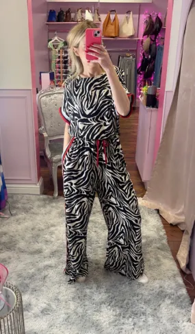 Two Piece Zebra Set